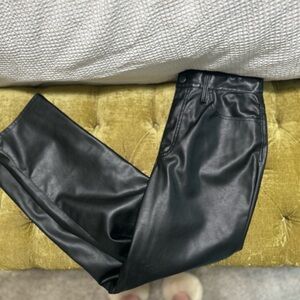 Black leather plants